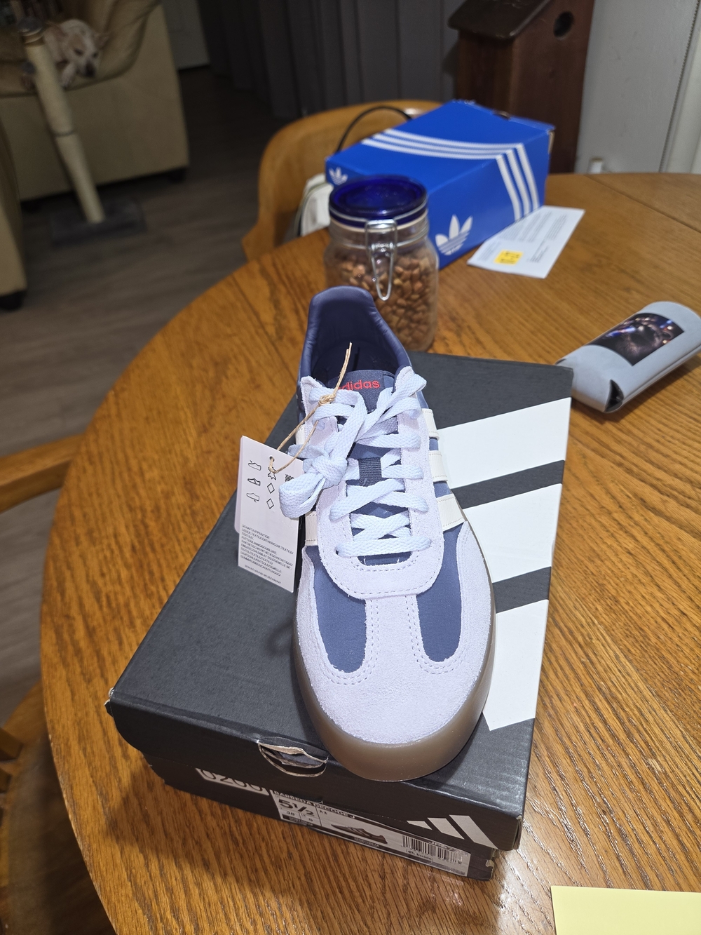 Adidas Kids Blue & White Low-Top Sneaker